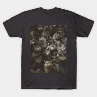 Chartreux T-Shirt